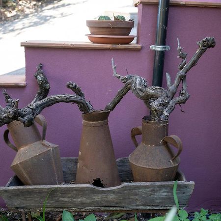 Agriturismo Etna-Mare Piedimonte Etneo Eksteriør billede