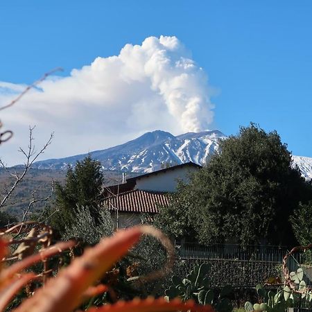 Agriturismo Etna-Mare Piedimonte Etneo Eksteriør billede