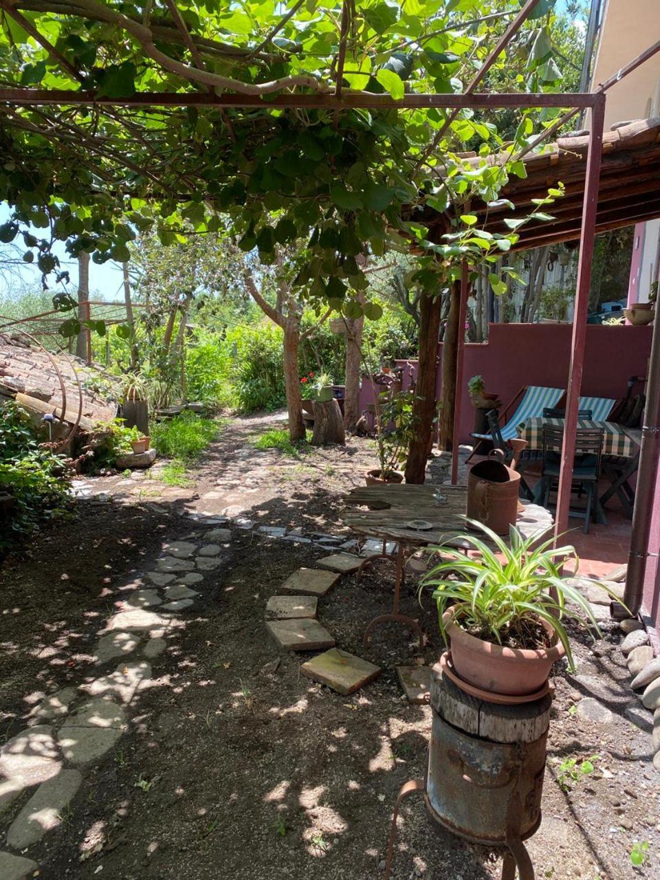 Agriturismo Etna-Mare Piedimonte Etneo Eksteriør billede