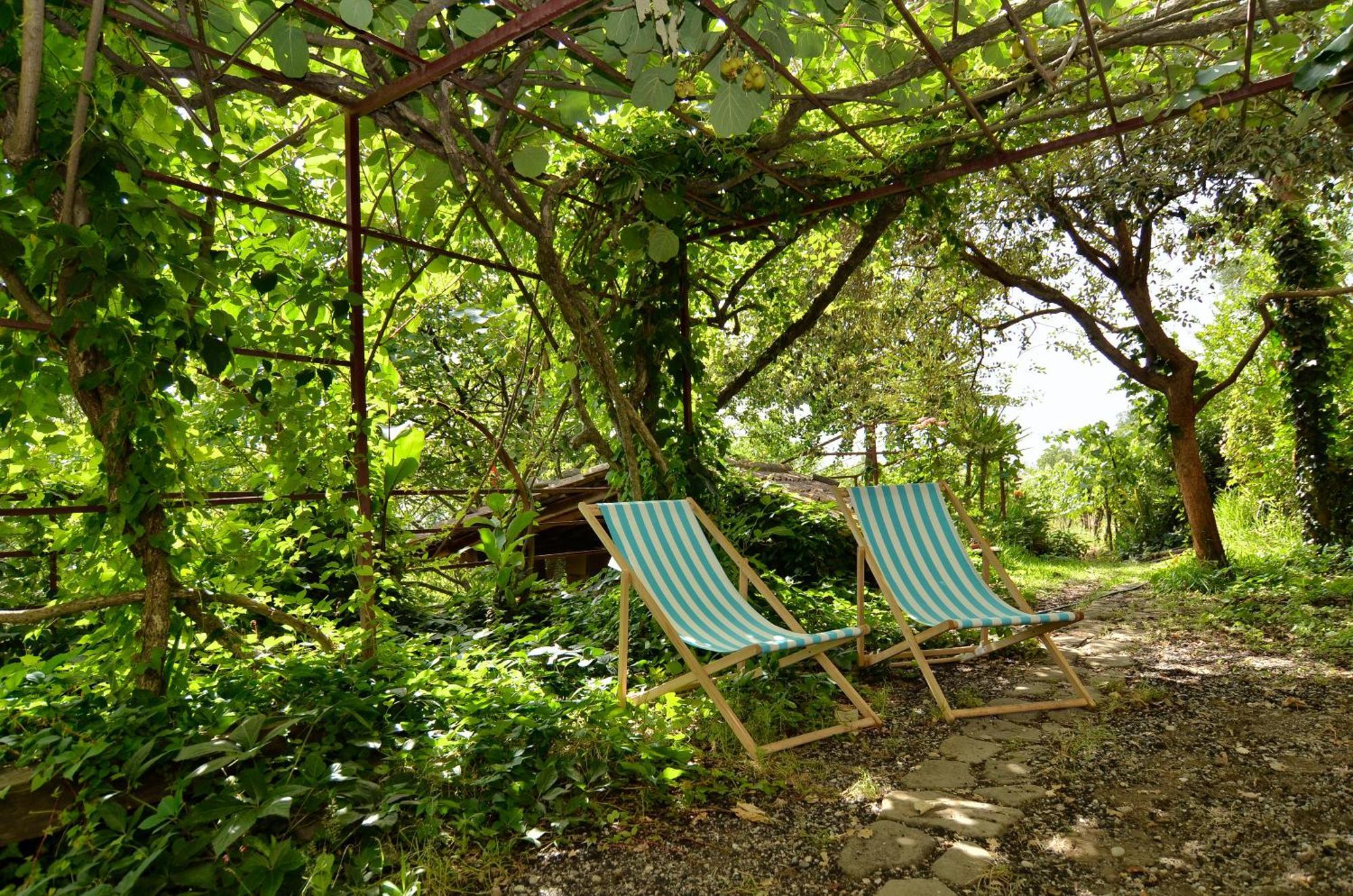 Agriturismo Etna-Mare Piedimonte Etneo Værelse billede