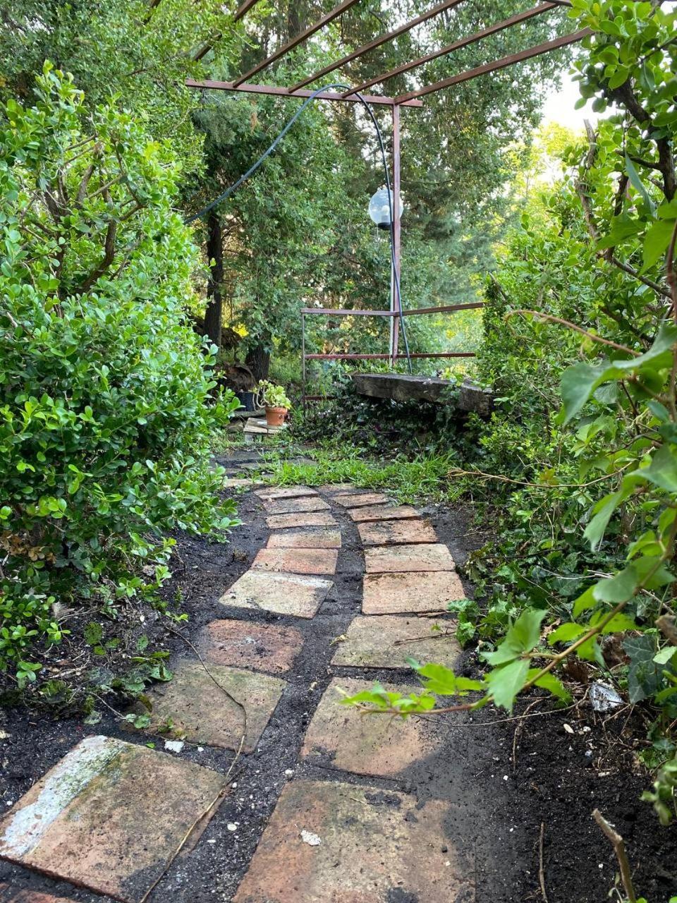 Agriturismo Etna-Mare Piedimonte Etneo Værelse billede