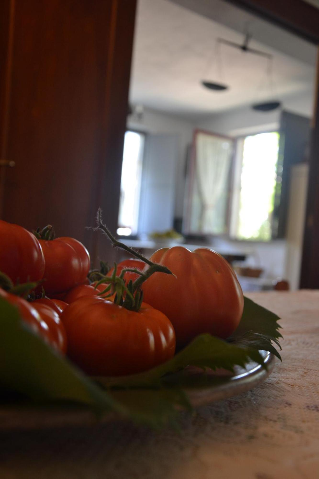 Agriturismo Etna-Mare Piedimonte Etneo Værelse billede