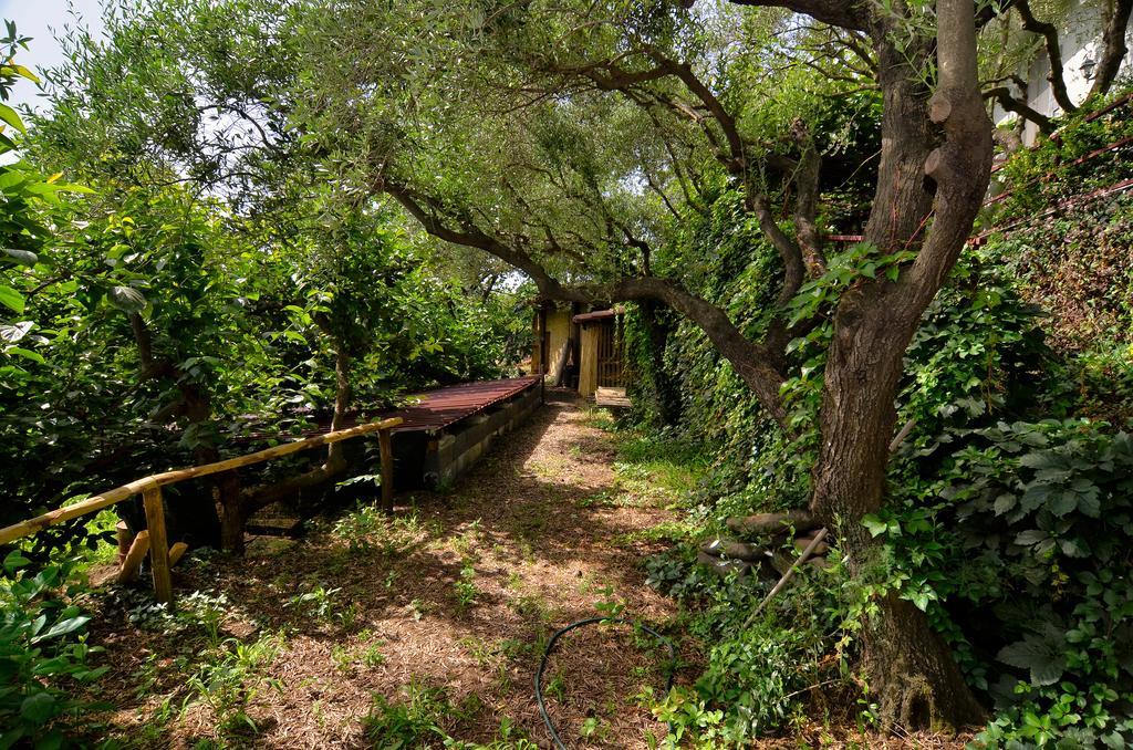 Agriturismo Etna-Mare Piedimonte Etneo Eksteriør billede