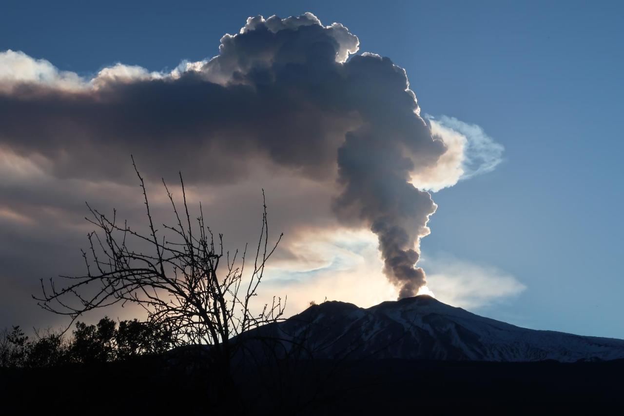 Agriturismo Etna-Mare Piedimonte Etneo Eksteriør billede