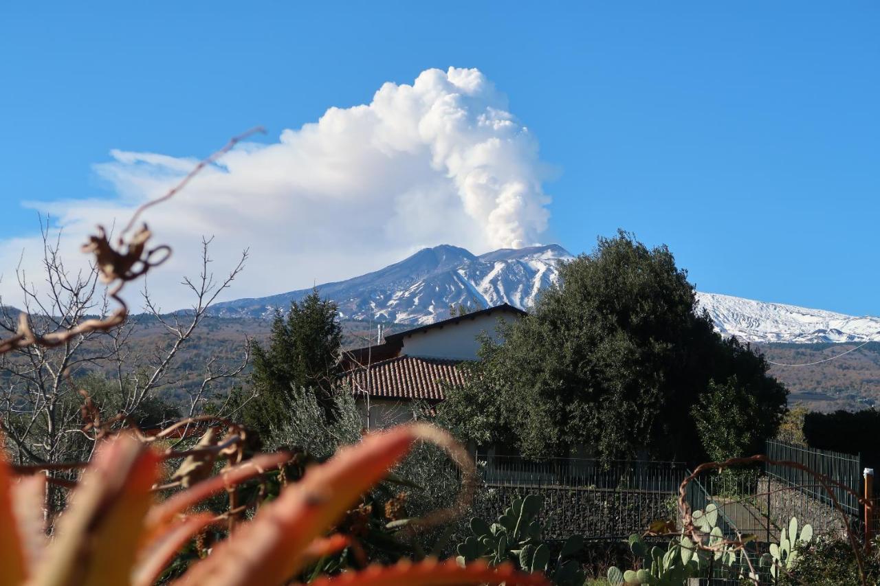Agriturismo Etna-Mare Piedimonte Etneo Eksteriør billede